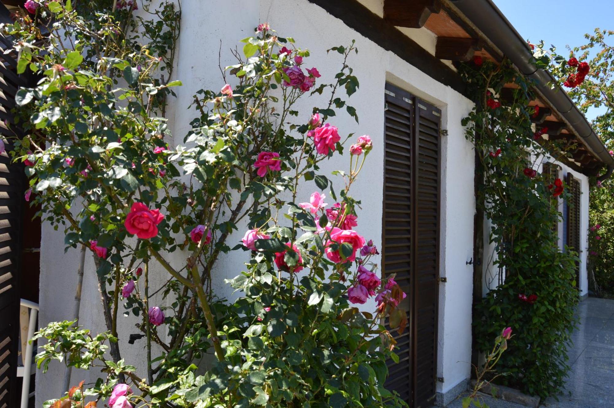 Residence Angiolina Nova Vas (Porec) Exterior foto
